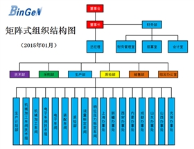 宾根公司组织架构